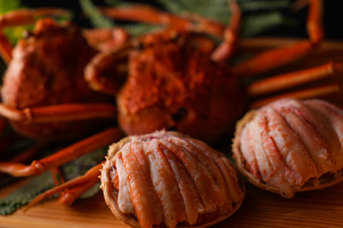 コース・メニュー（ランチ・ディナー）