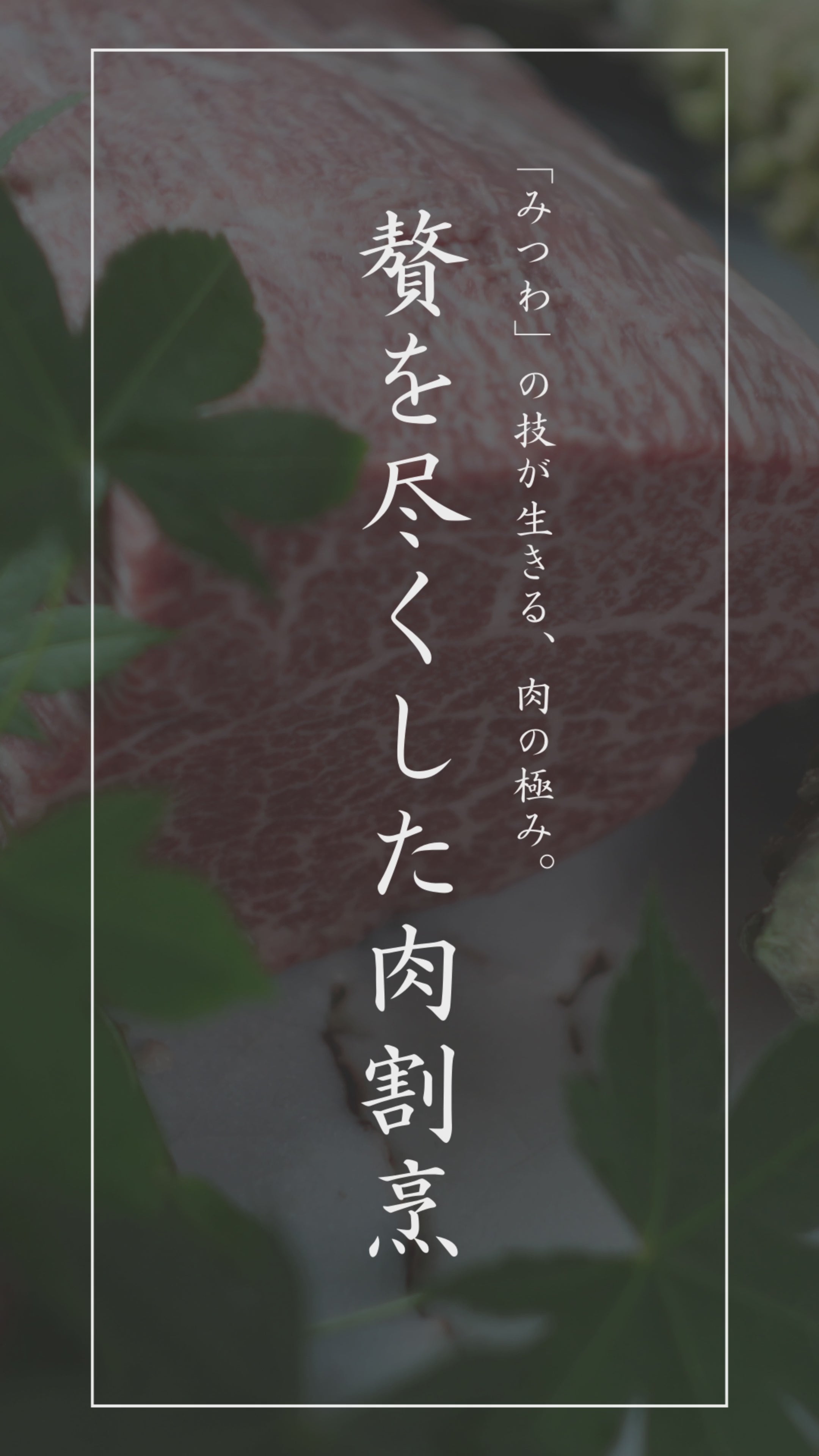 動画を読み込む: 
